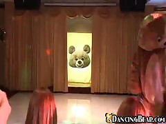 Dancing Bear - Who Does Not Like Bears?