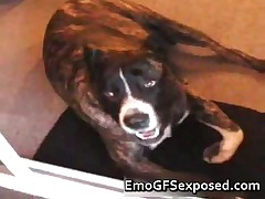 Real Slut Emo Doggyfucked In A Pool Table 2 By EmoGFSexposed